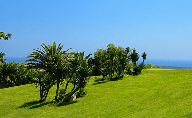 Golfclub Mallorca