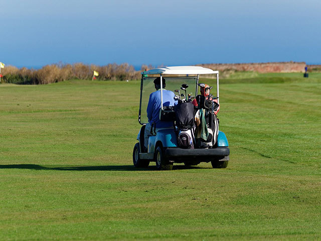 Golfsport Kosten - Golfbaggy auf dem Golfplatz
