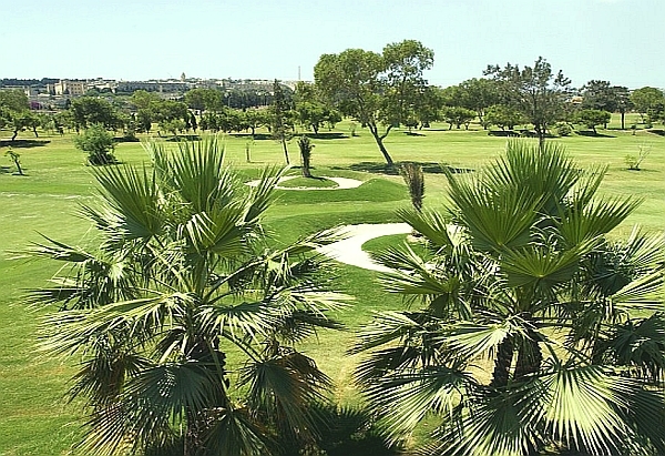 Golfschule Malta Palmen