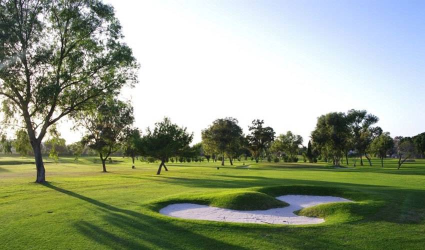 Golfschule German Golf Academy Royal malta Golf Club